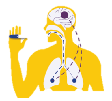 icono